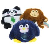 ZOO SQUEEGIES PACK