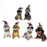 6 Asst Hanging Dogs with Santa Hats min 24